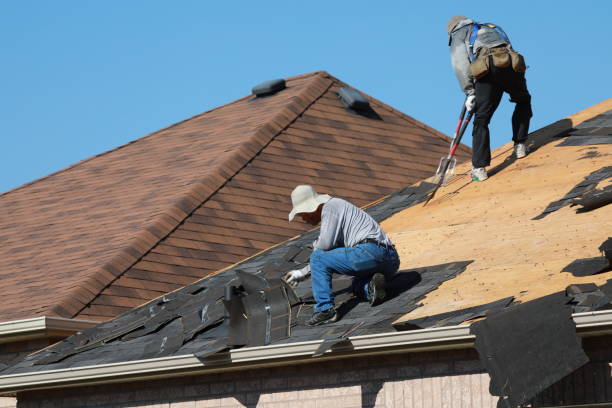 Best Asphalt Shingle Roofing  in Shamokin Dam, PA